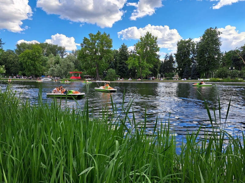 катамараны