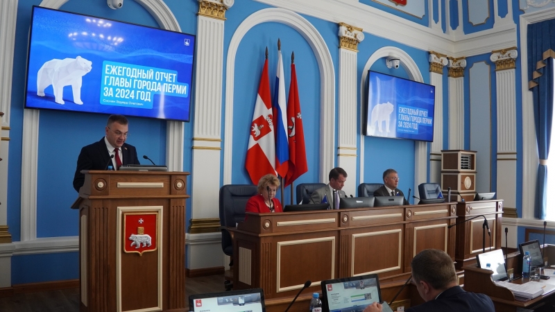 Ежегодный отчет Соснина в пермской думе