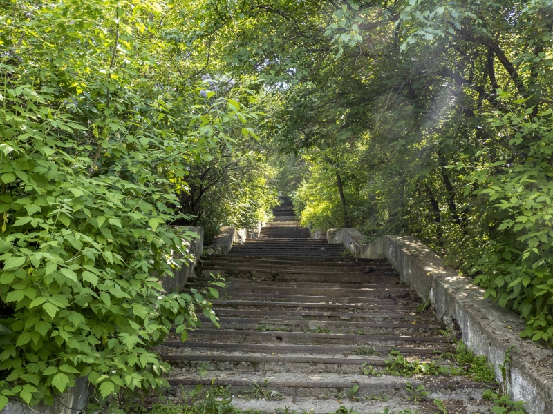 Лестница