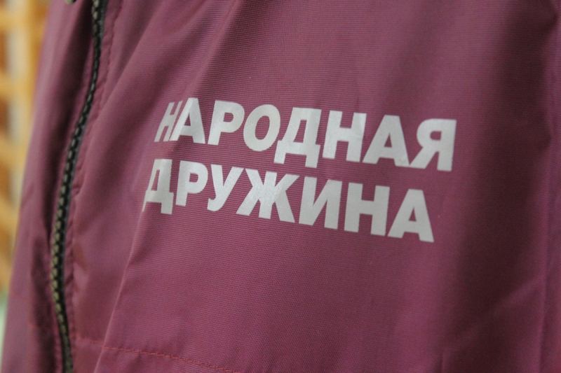Дружинник