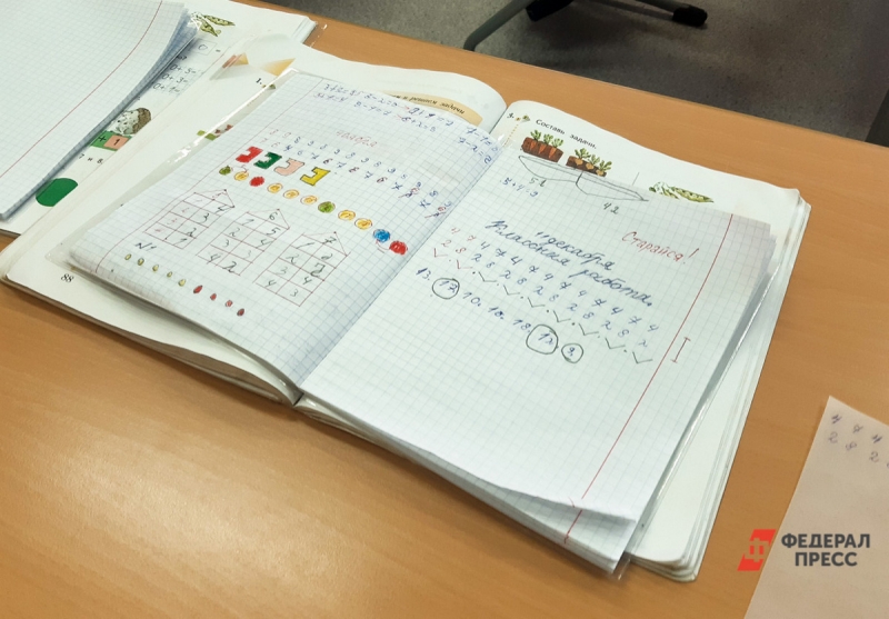 12-летний Рома в этом году успешно окончил начальную школу на семейном обучении