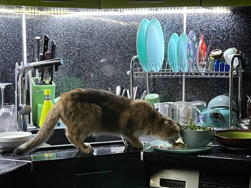 Отключение воды