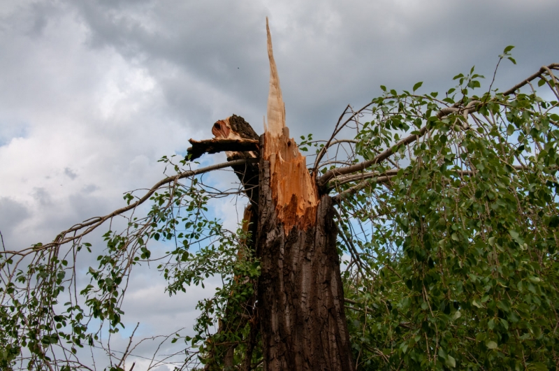 Последствия грозы