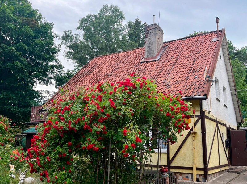 Калининградская область