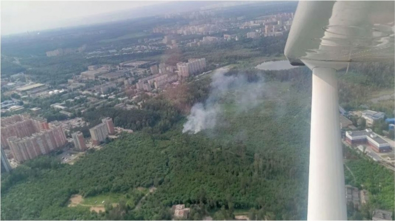 Лесные пожары