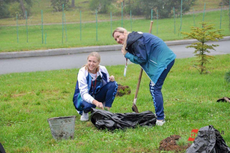 Девушки занимаются посадкой деревьев