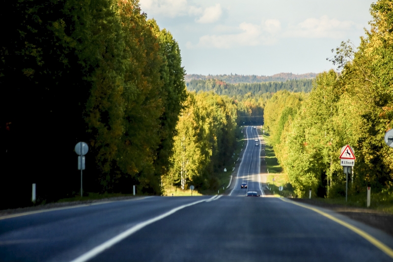 трасса, дорога