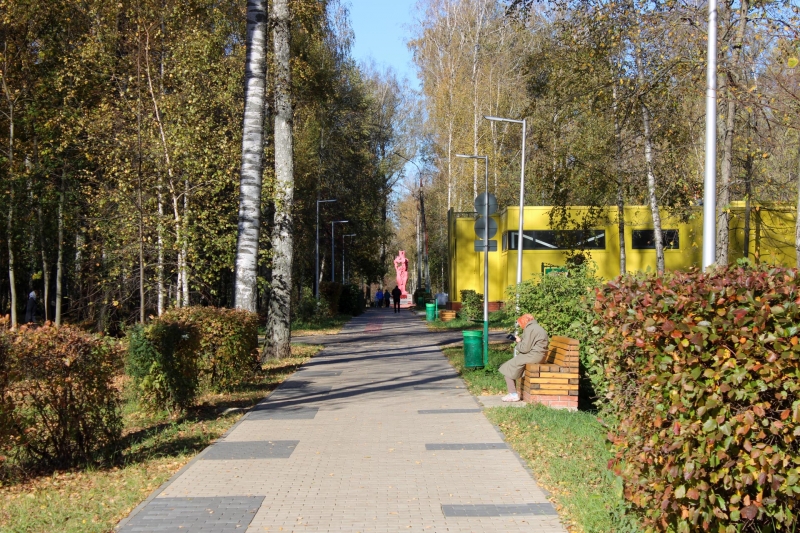 деревья, парк