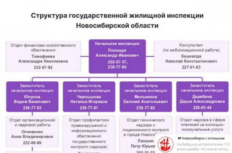 Скриншот с сайта правительства НСО