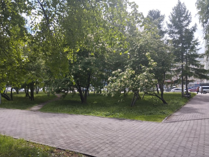 Погода