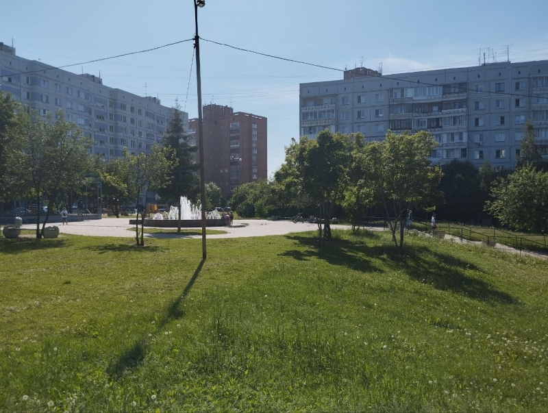 Снегири