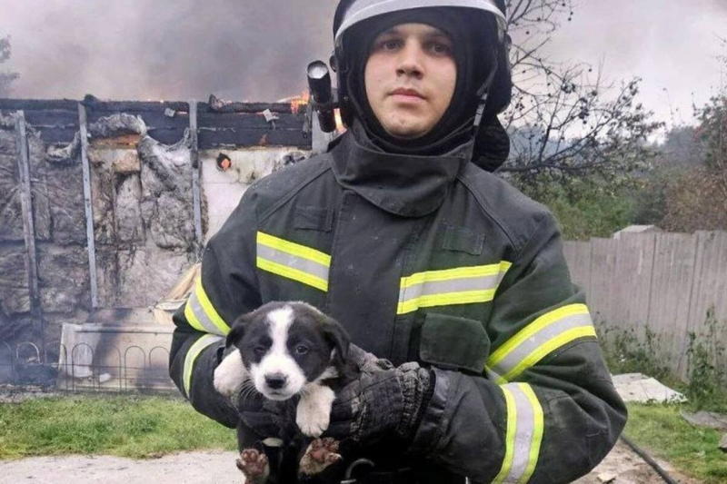 МЧС