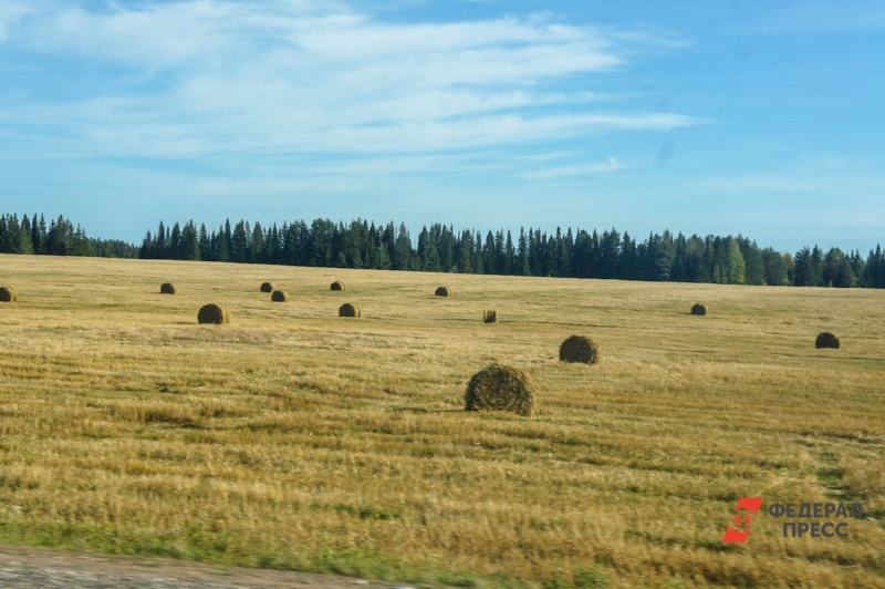 сено