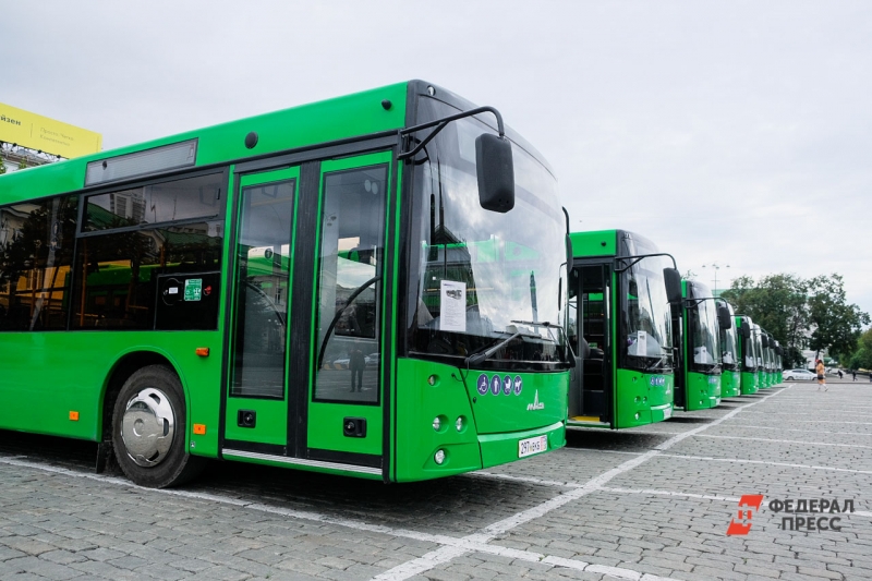 Автобусы
