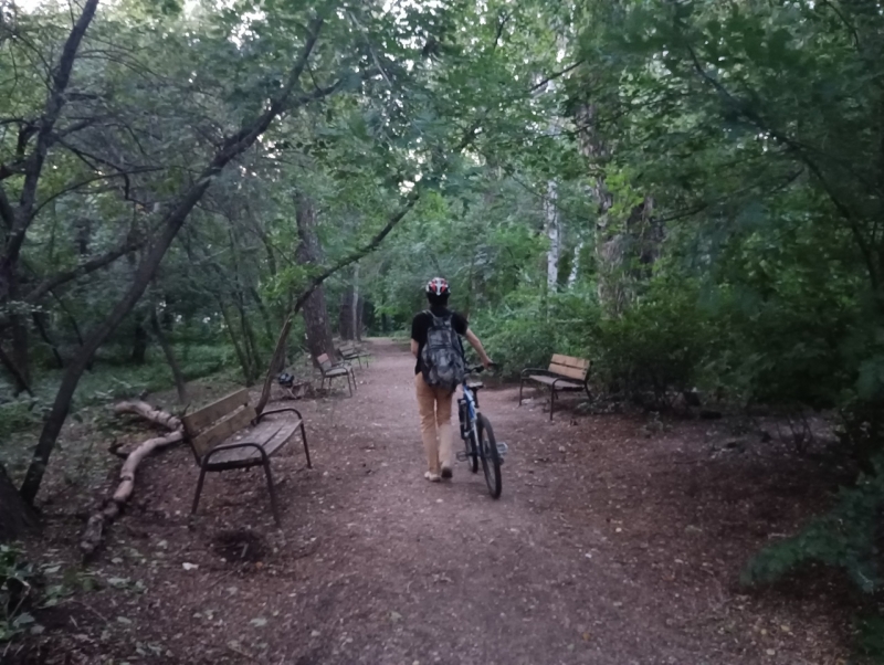 Архиерейский сад