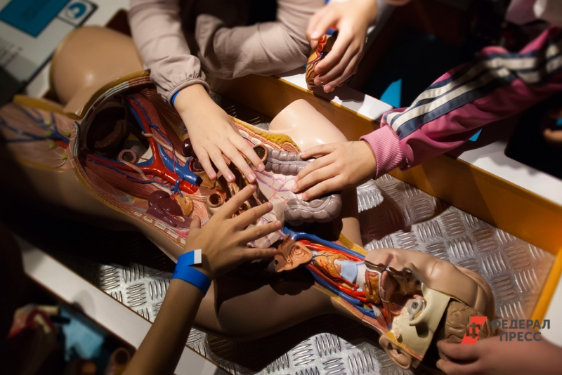 Форум пройдет в Геленджике с 6 по 7 октября