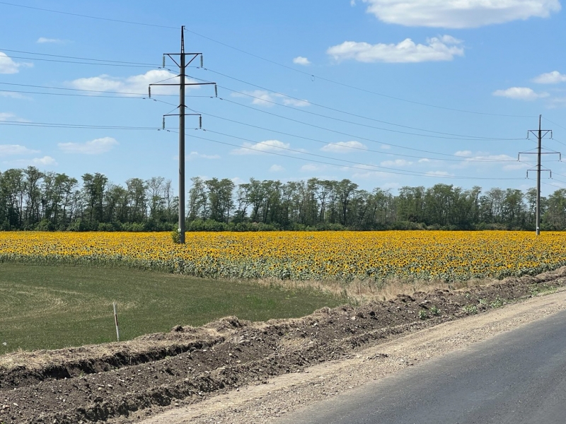 Депутат Госдумы Лоцманов прокомментировал последствия засухи на Кубани