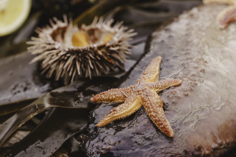 Мурманская область трансформируется в креативный кластер