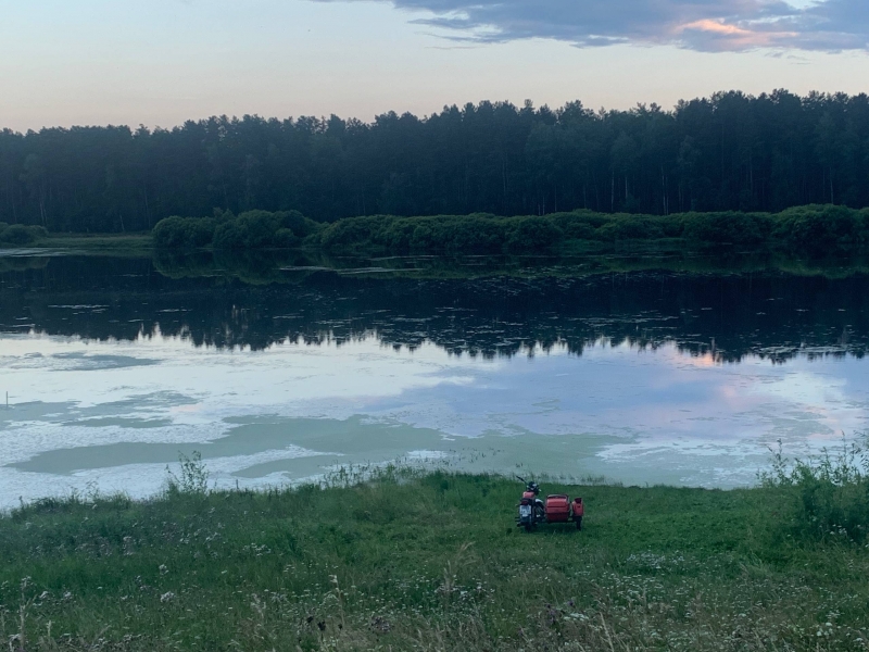 пейзаж реки и леса