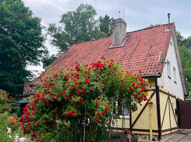 Калининградская область