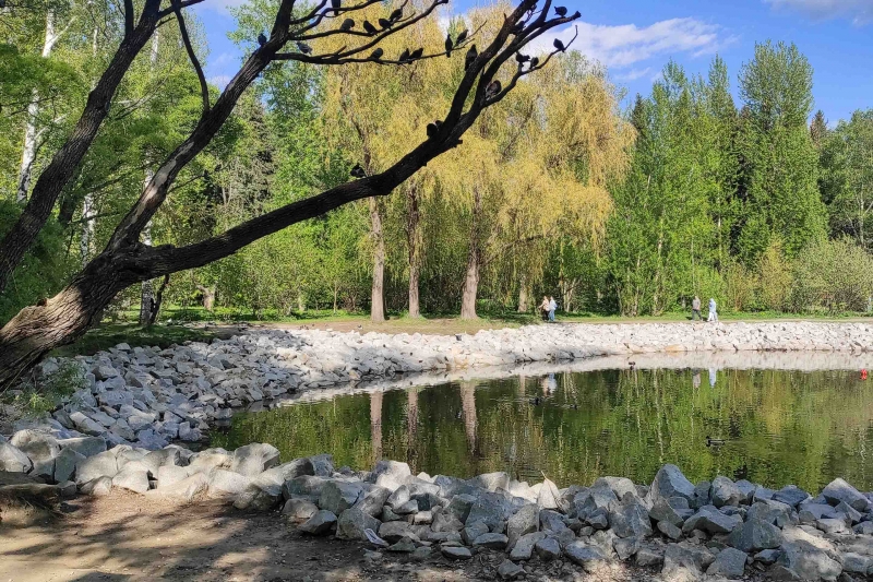 Екатеринбургский дендрарий