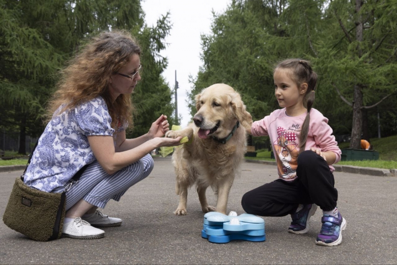 День фронтовой собаки