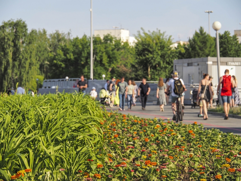 Благоустройство Рязани