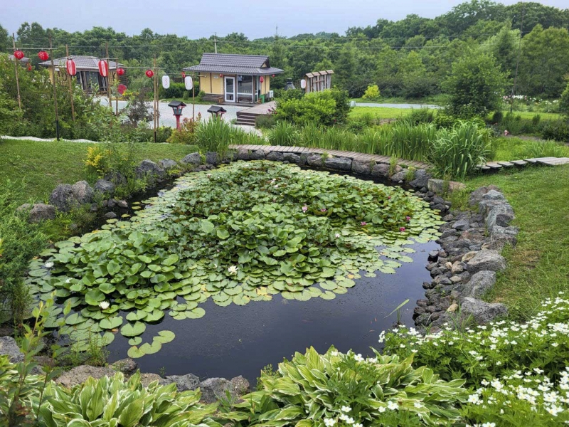 Погода в Приморье