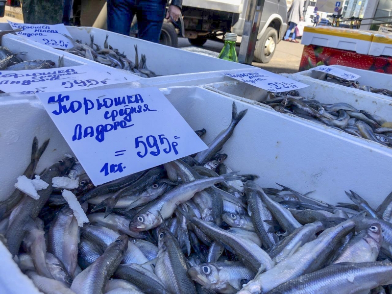 Рыбный рынок