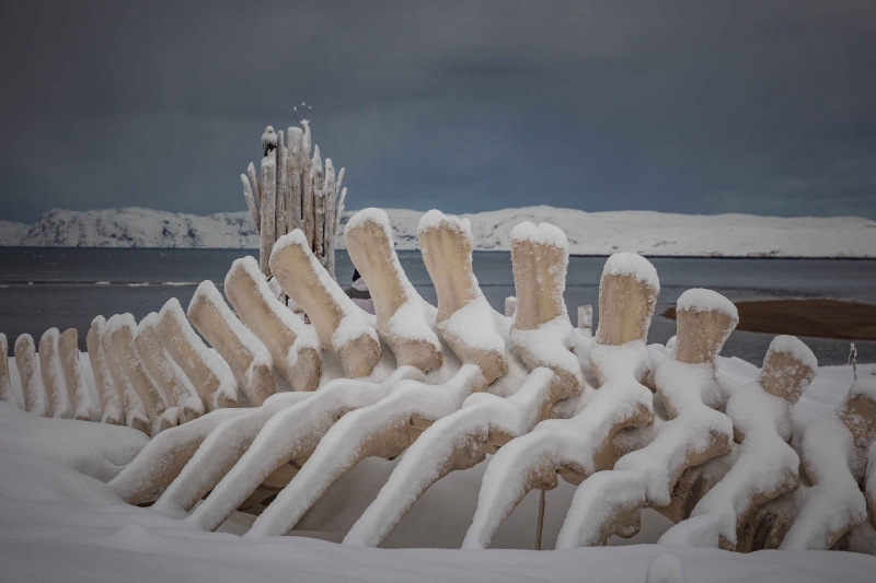 Стоимость однодневного тура в Мурманскую область зависит от программы