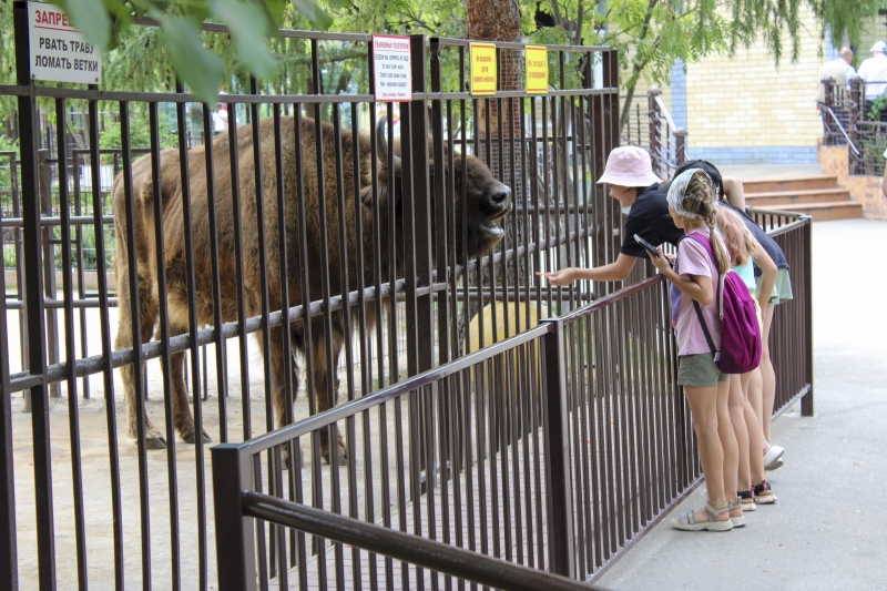 Зоопарк Екатеринбурга улучшает содержание животных