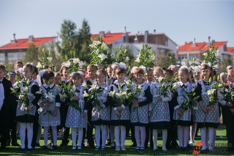 Подготовка к школе требует комплексного подхода