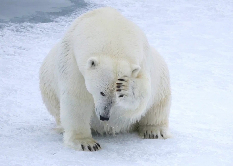 Маждуб Кеннет из Республики Гана