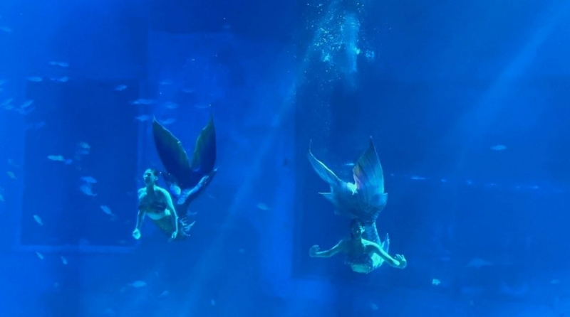 Ева Кмостели