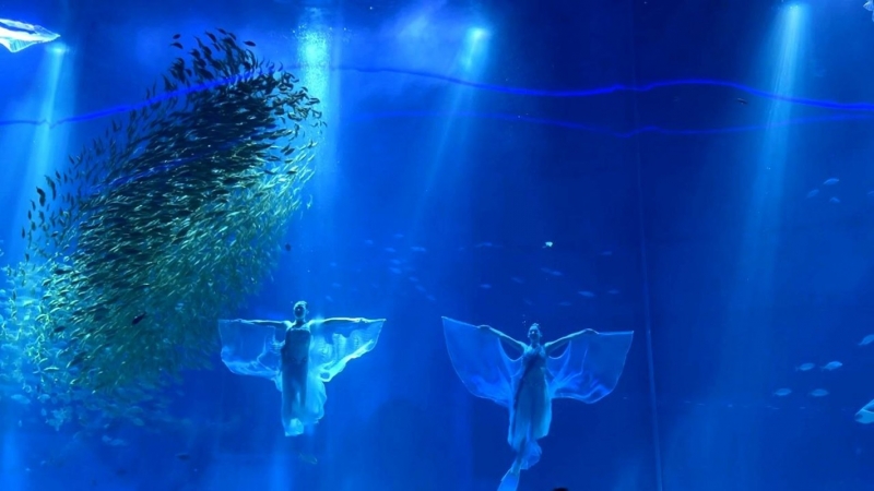 Ева Кмостели