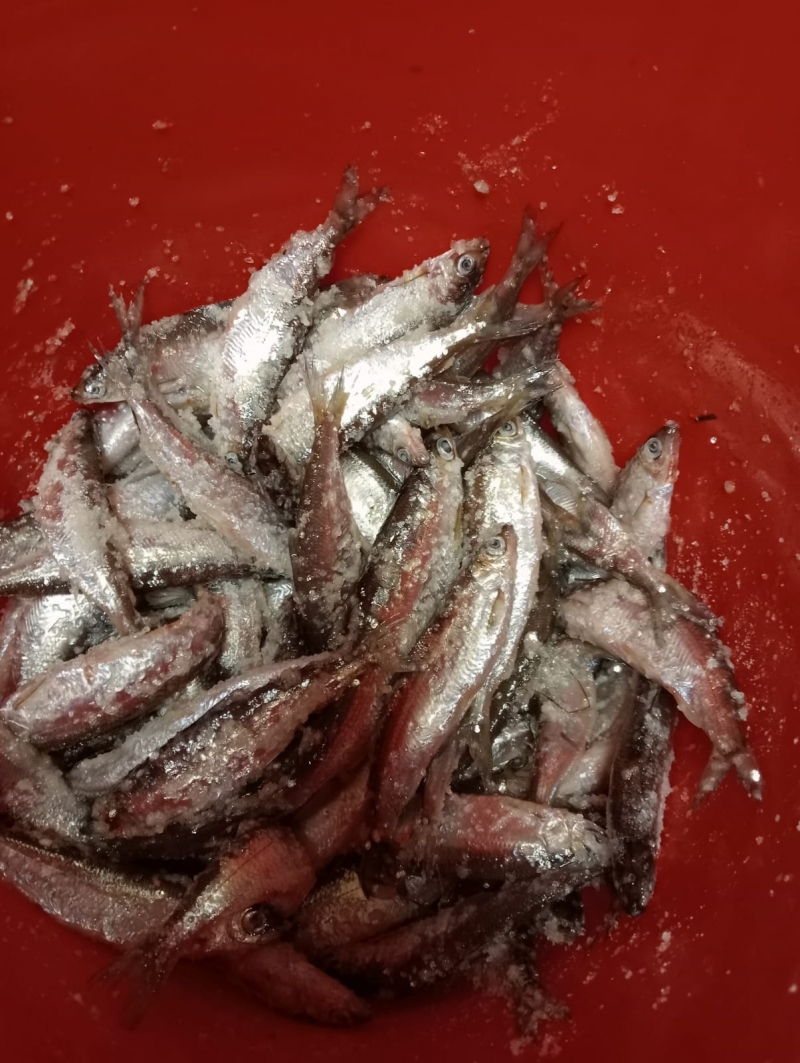 Сосьвинский тугун ловится только в Березовском районе