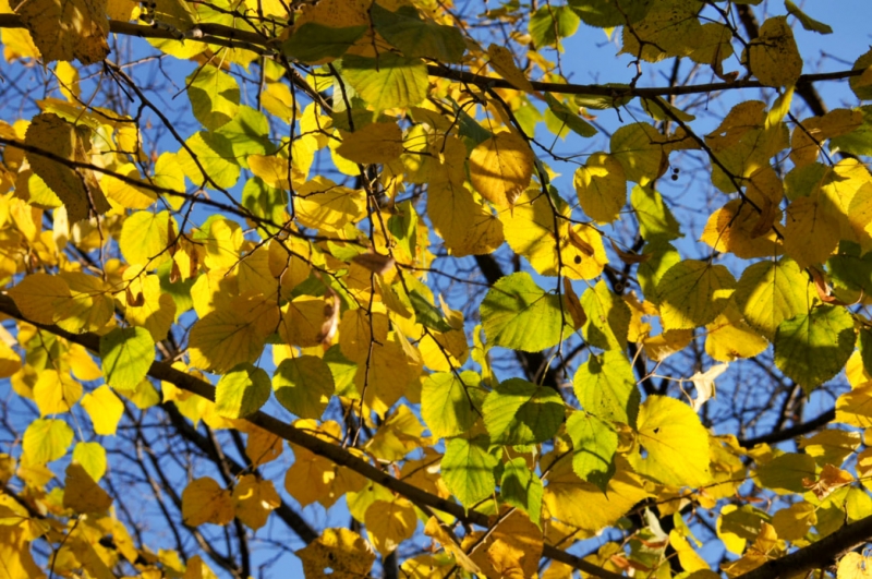 Осеннее равноденствие