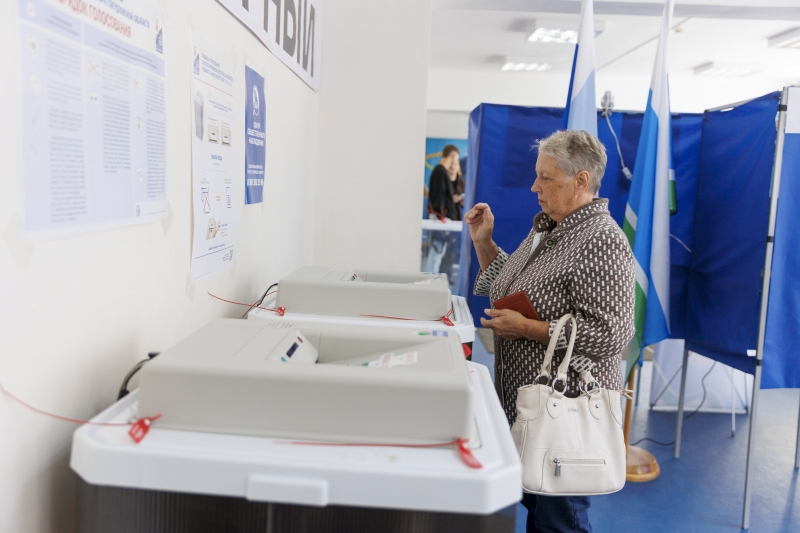 Голосование на участке