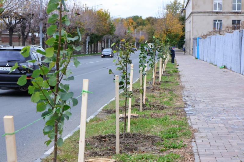Озеленение Рязани