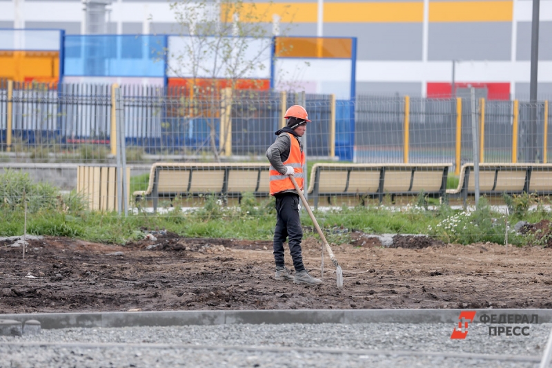 Реформа патентной системы для мигрантов назрела