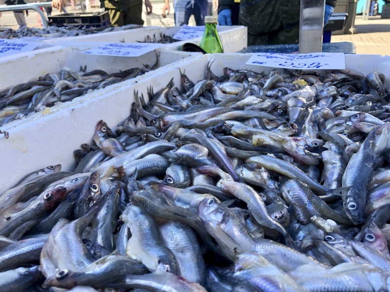 рыба дагестан