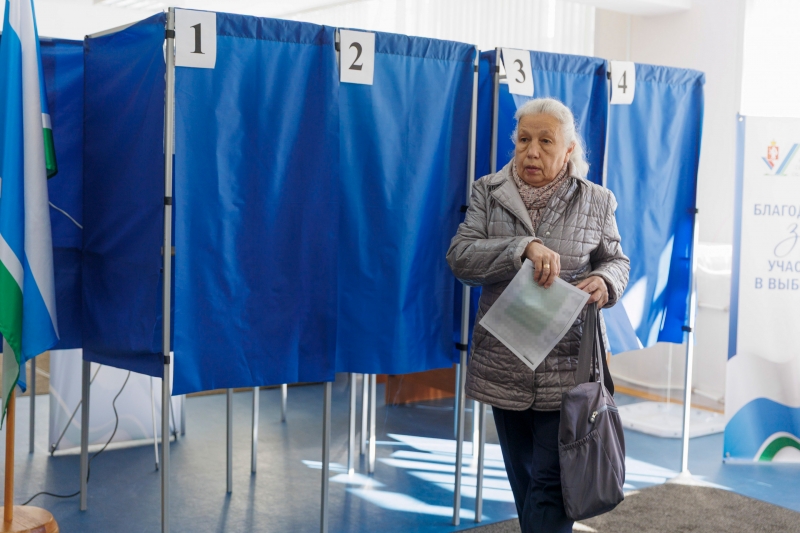 Избирательница