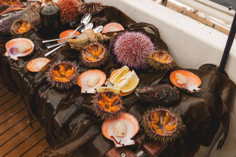 Значительные инвестиции будут направлены на реализацию масштабного проекта «Комплексное развитие Мурманского транспортного узла»