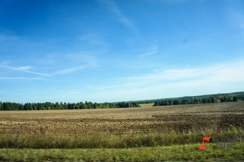 В Свердловской области пылает земельный скандал