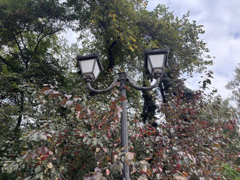 Свердловскую область накрыли кучевые облака и туманы