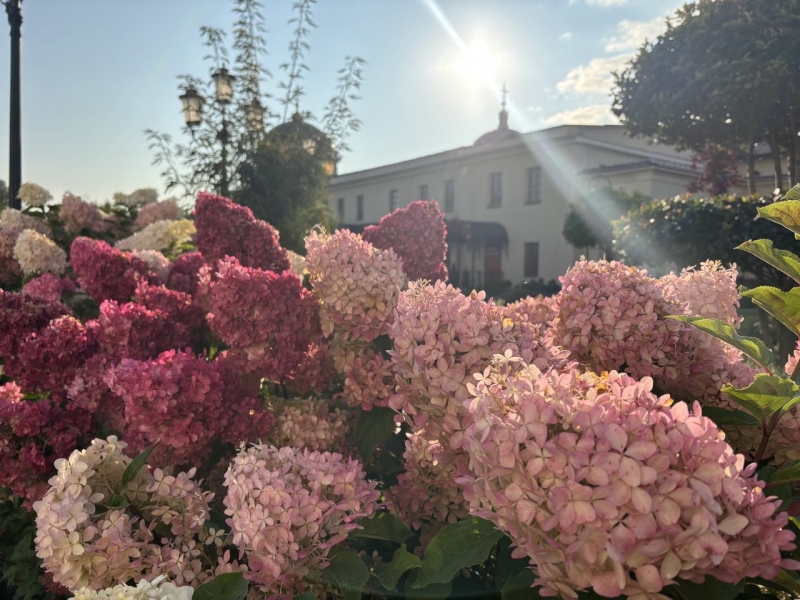 В Свердловской области продолжается бабье лето