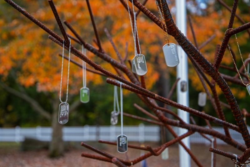 Солдатские жетоны