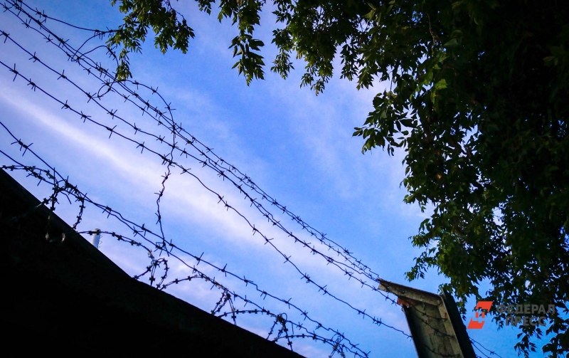 Колючая проволока