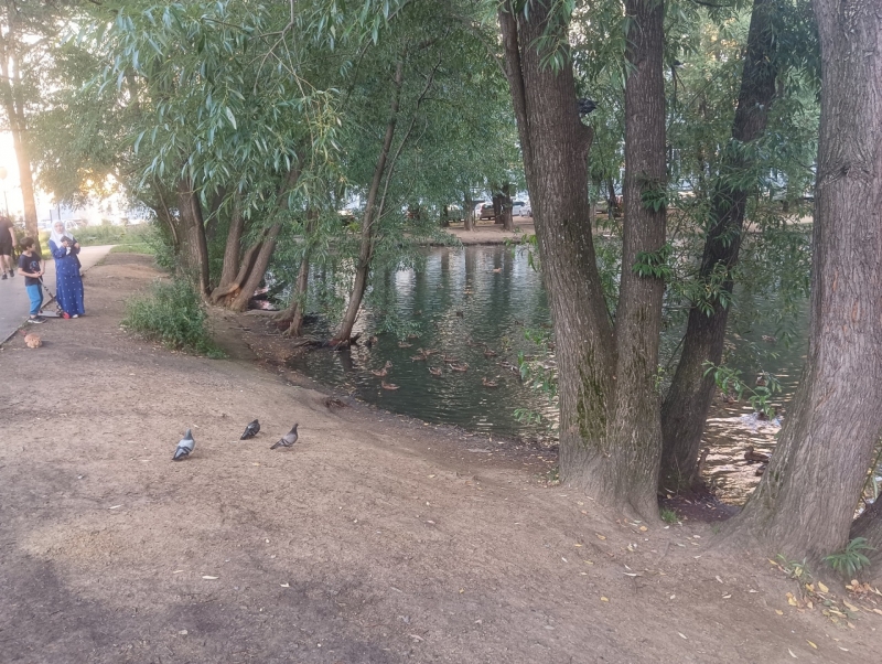 Набережная Ольховки