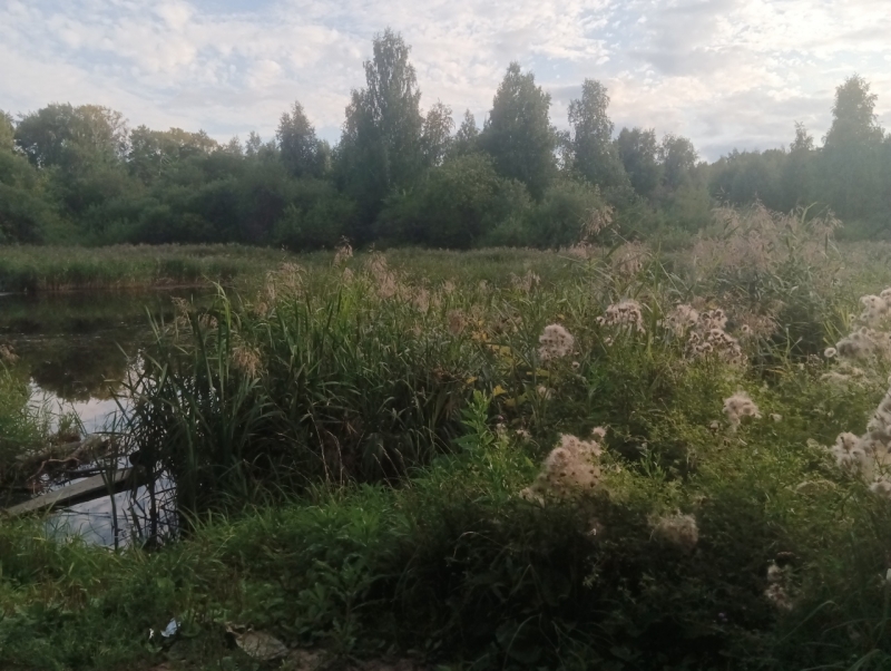 Набережная Ольховки